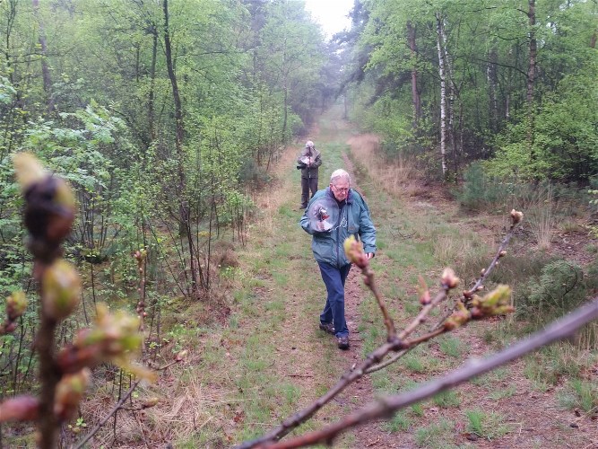 In het bos